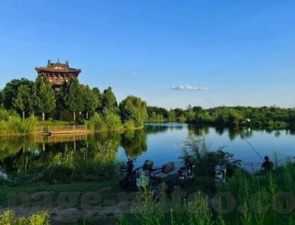 91麻豆传媒app下载-91 麻豆传媒——智能导演下的影像盛宴，探索多媒体应用的无限可能