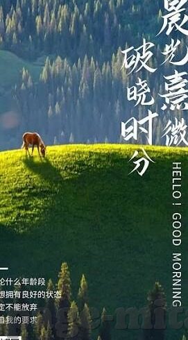 极品尤物一区二区三区-极品尤物，一区、二区、三区的魅力交织