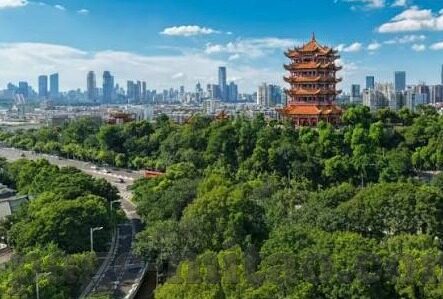 麻豆啊传媒app官-麻豆啊传媒，融化界限的数字创意圣地