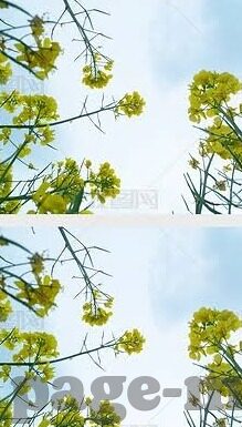 麻豆文化传媒网站地址-麻豆文化的网络边界——探索一个不合理存在的领域