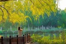 糖心vlog官网入口在哪-探索网络奇遇，揭秘糖心Vlog的视听盛宴