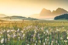 撞击邻居人妻的巨臀-撞击邻居人妻的巨臀，一场意外的邻里风波